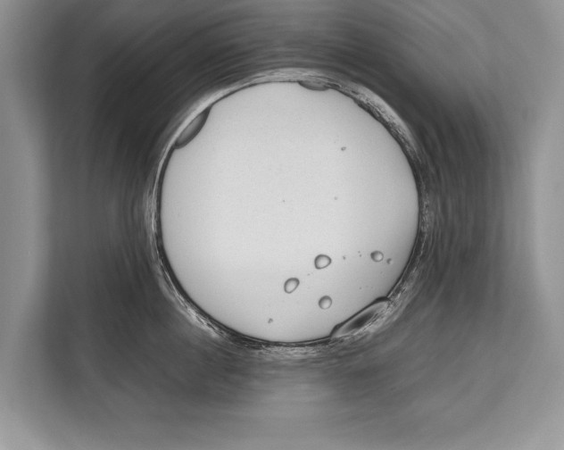 X0000112810860200909181549