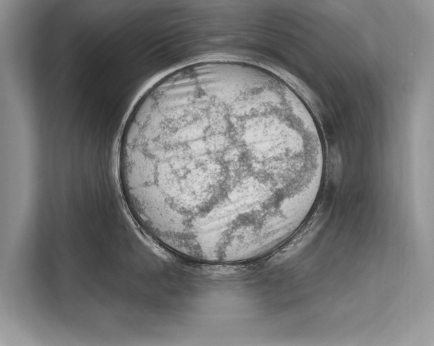 X0000112810862200909181549