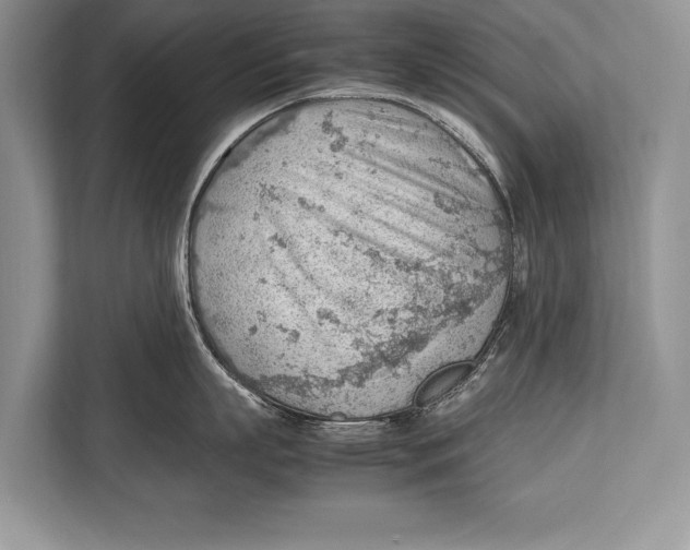 X0000112810863200909181549