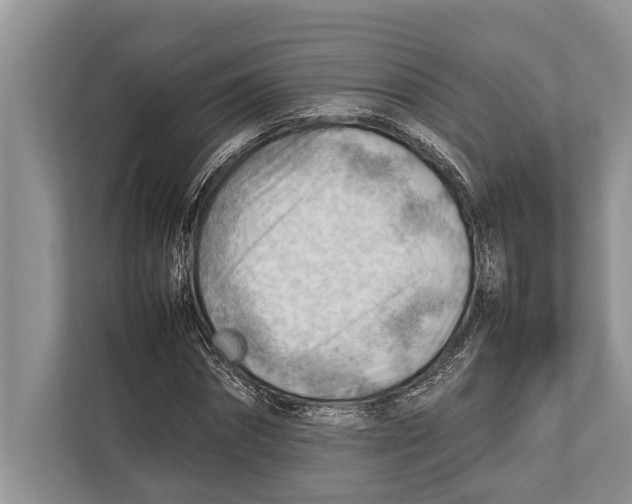 X0000112810874200909181548