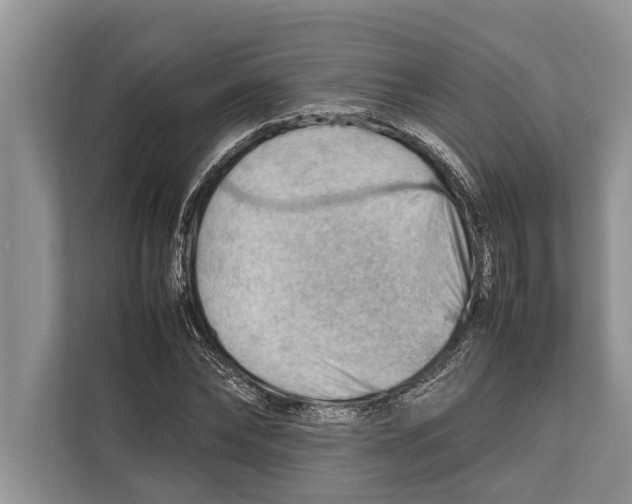 X0000112810878200909181548