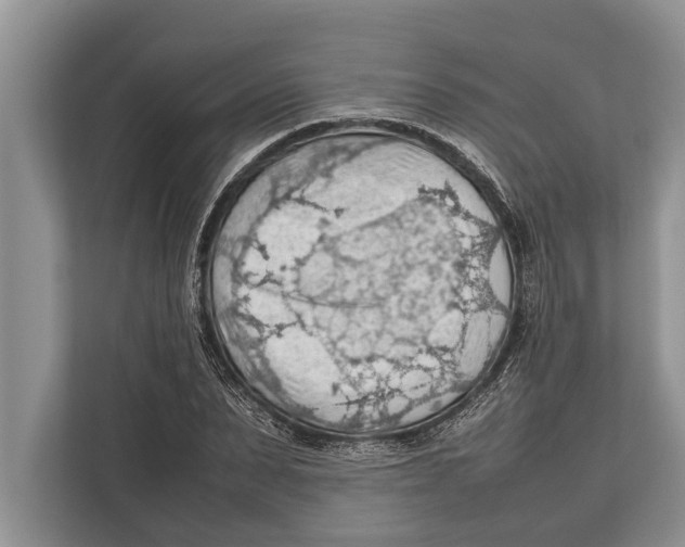 X0000112810879200909181548
