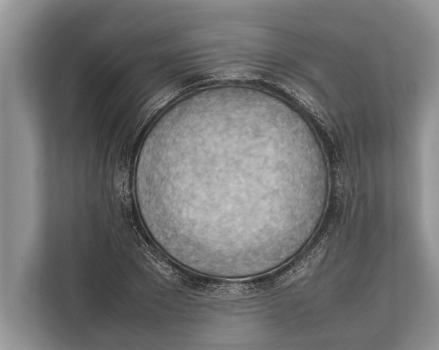 X0000112810881200909181548