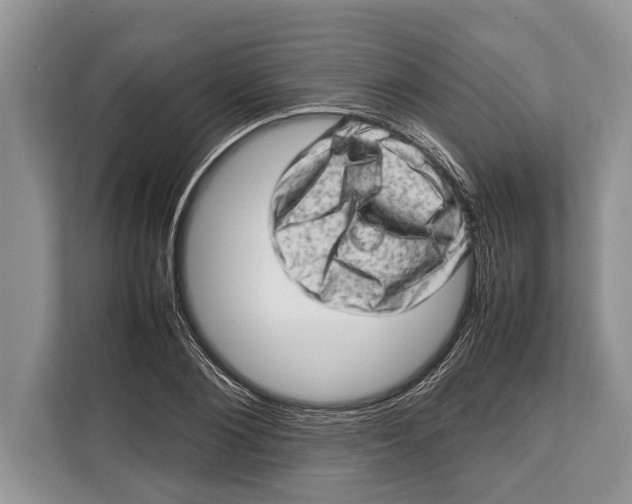 X0000112810884200909181548