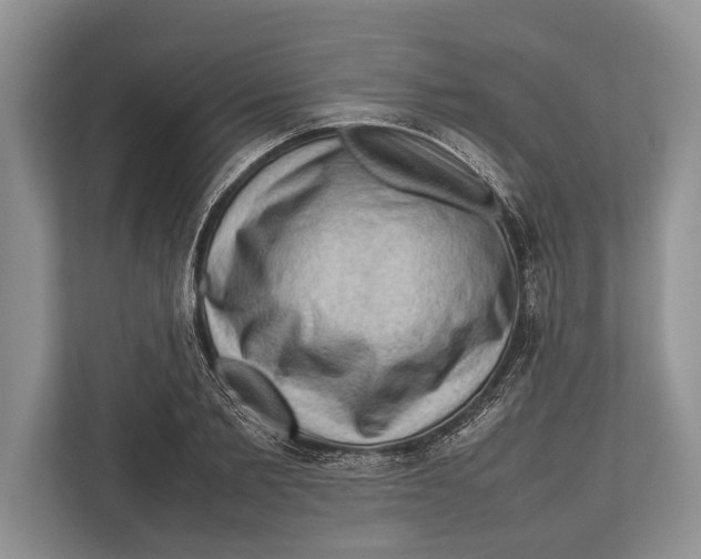 X0000112810885200909181548