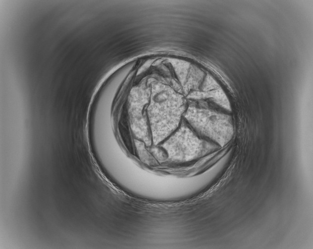 X0000112810888200909181548