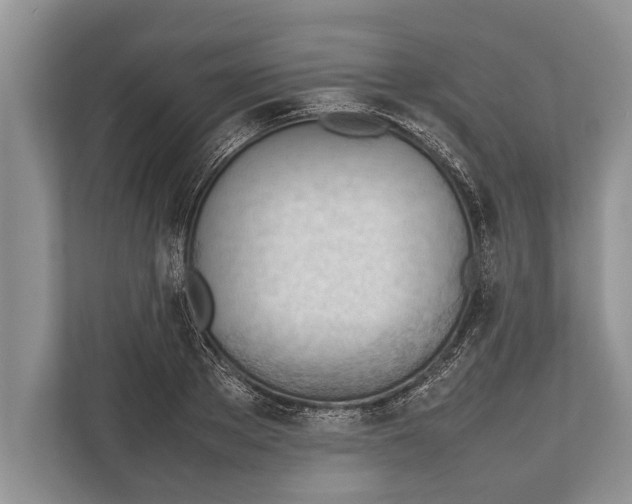 X0000112810889200909181548