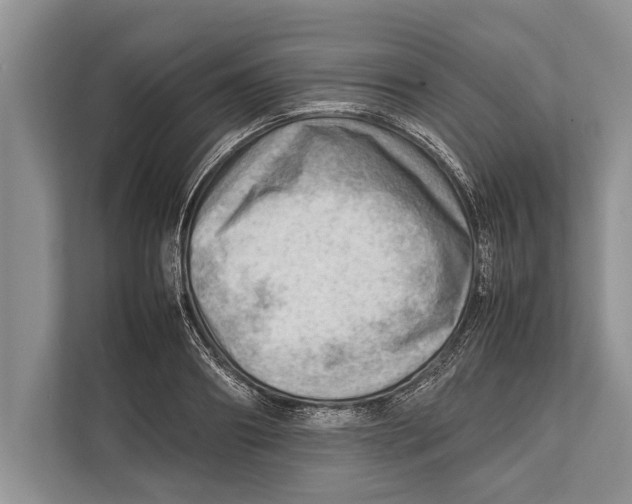 X0000112810890200909181548