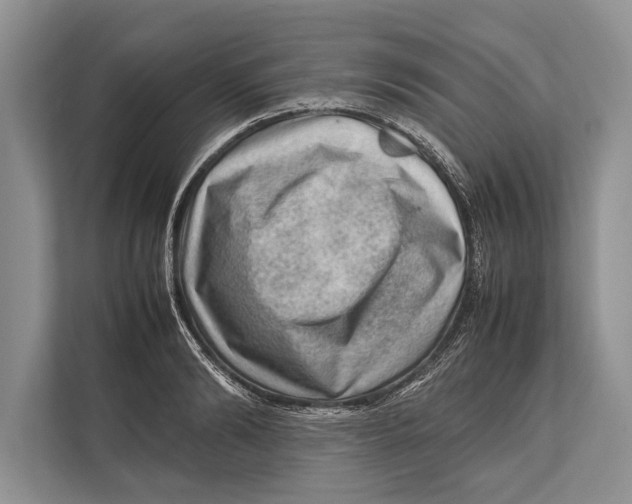 X0000112810894200909181548