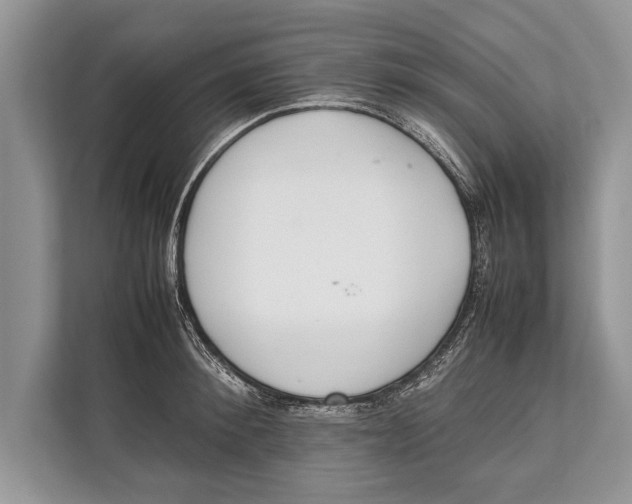 X0000112810900200909181548