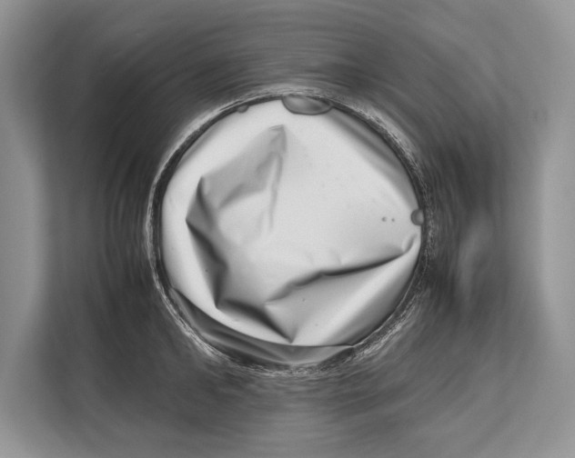 X0000112810902200909181548