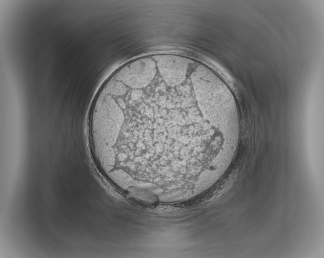 X0000112810907200909181548