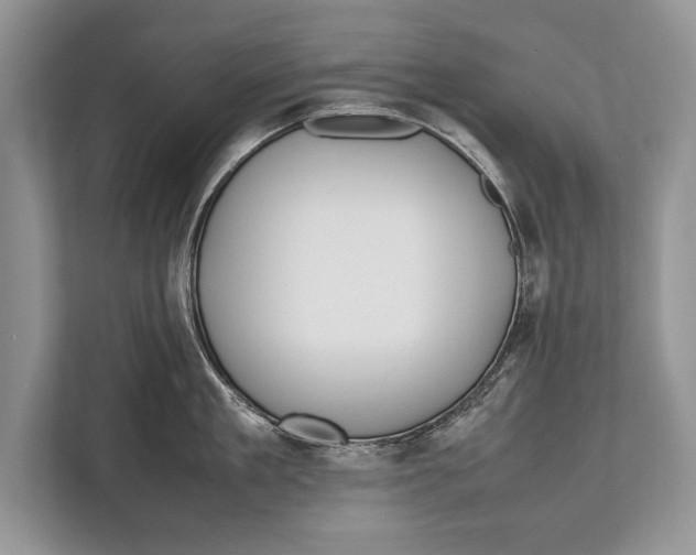 X0000112810909200909181548