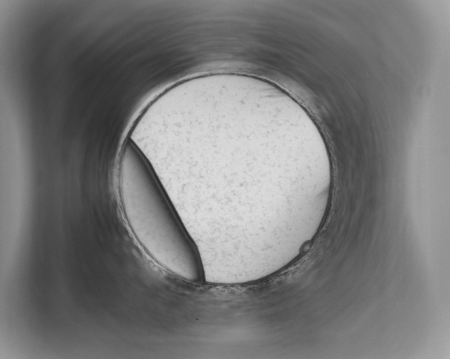 X0000112810912200909181547