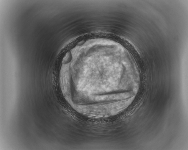 X0000112810919200909181547