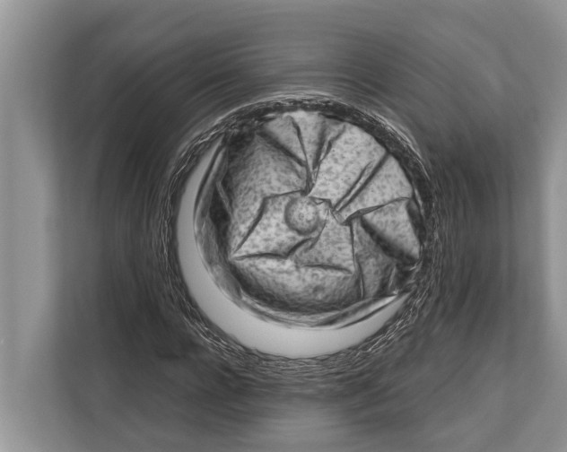 X0000112810920200909181547