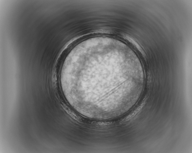 X0000112810923200909181547