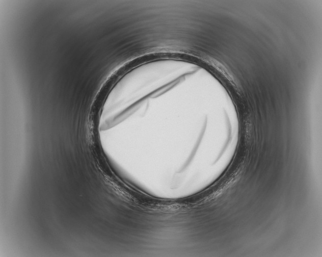 X0000112810926200909181547