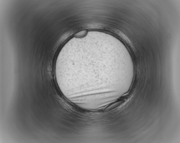 X0000112810930200909181547