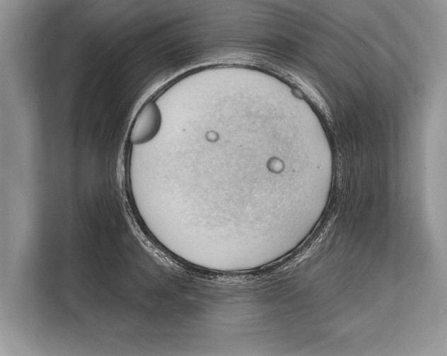 X0000112810944200909181547