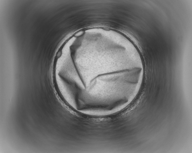 X0000112810949200909181547