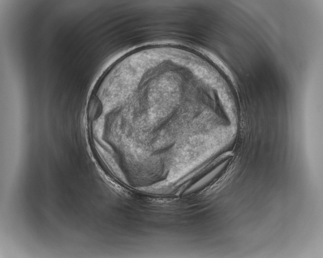 X0000112810951200909181547
