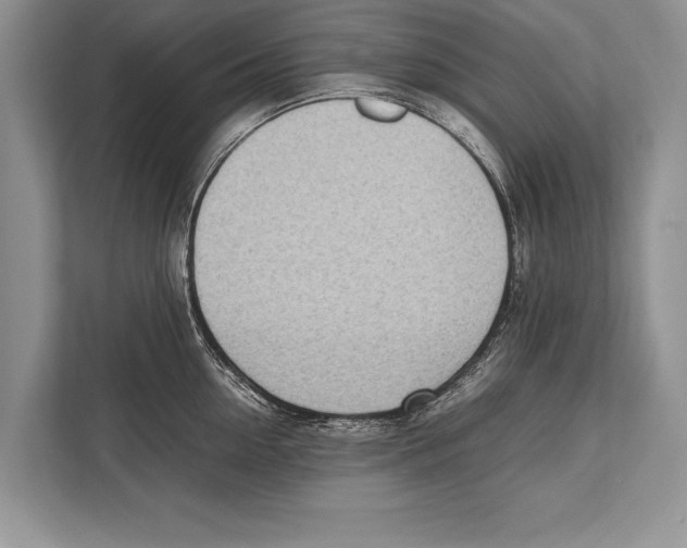 X0000112810954200909181547
