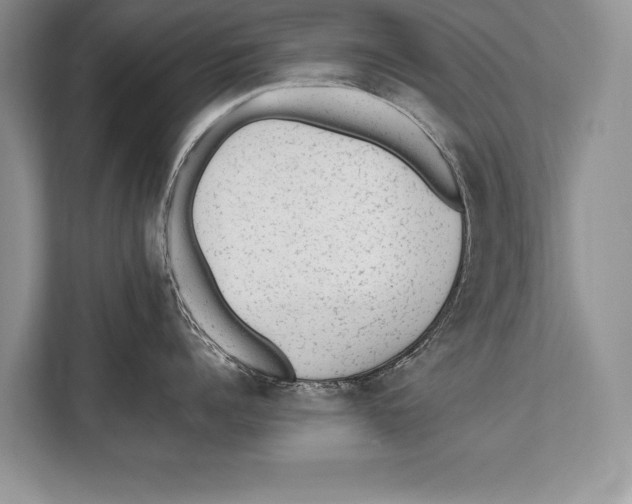 X0000112810960200909181547