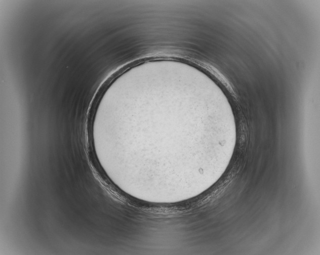 X0000112810980200909181547