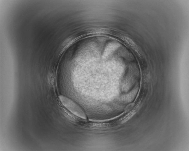 X0000112810985200909181547