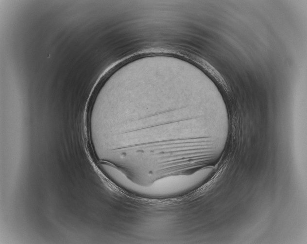 X0000112810988200909181547