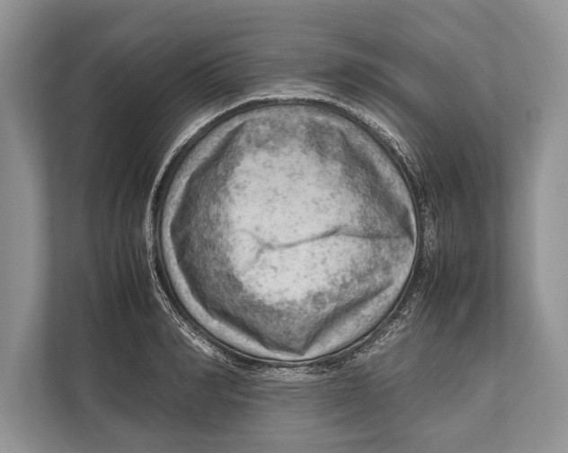 X0000112810990200909181546