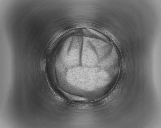 X0000112810993200909181546