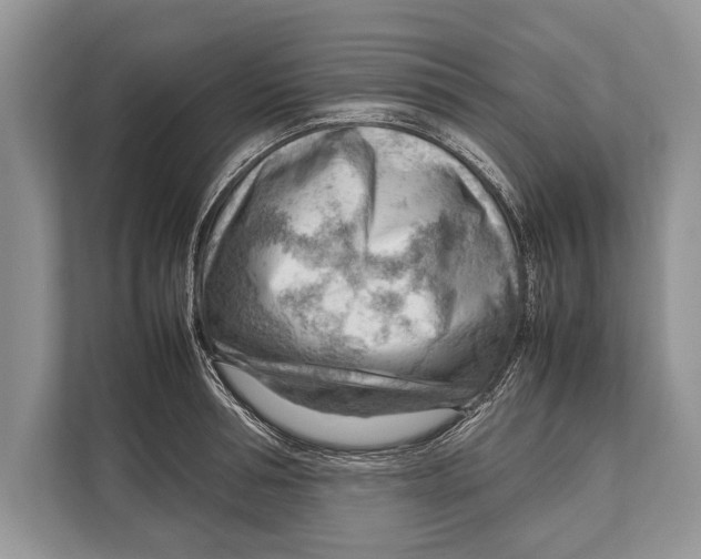 X0000112810994200909181546