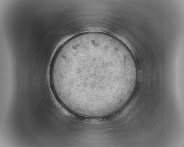 X0000112810995200909181546