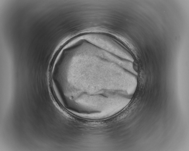 X0000112810998200909181546