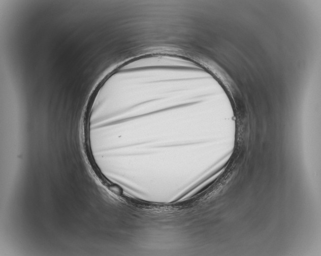 X0000112810999200909181546