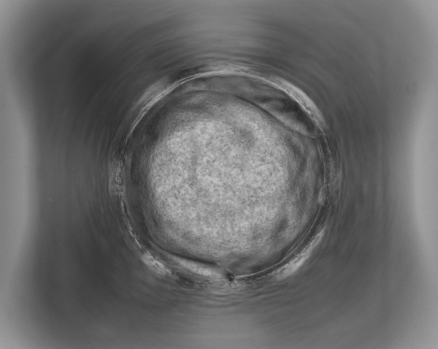 X0000112811001200909181546