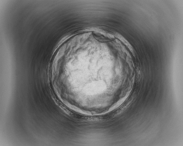 X0000112811002200909181546