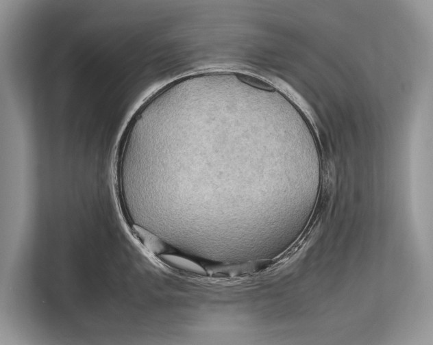 X0000112811005200909181546