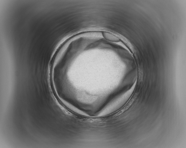 X0000112811006200909181546