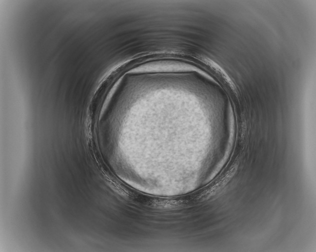 X0000112811019200909181546