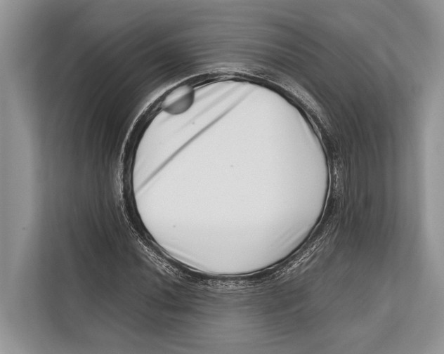 X0000112811020200909181546