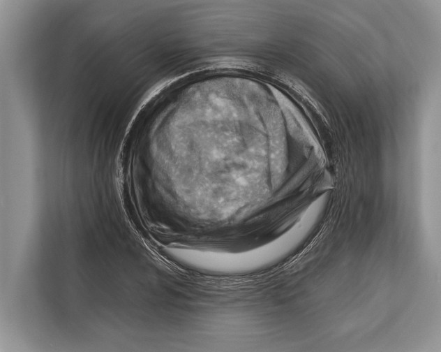 X0000112811024200909181546