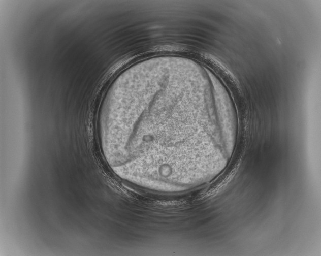 X0000112811025200909181546