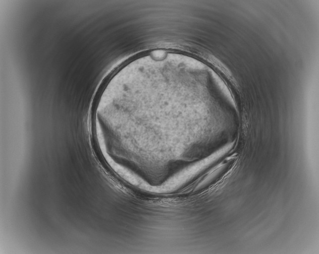 X0000112811028200909181546