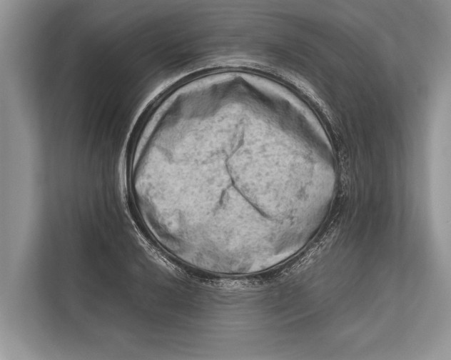 X0000112811032200909181546