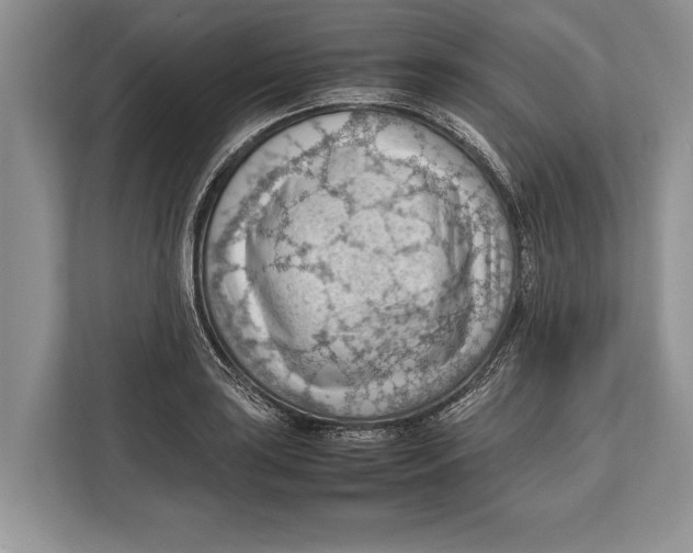 X0000112811035200909181546