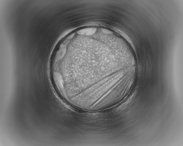 X0000112811045200909181546