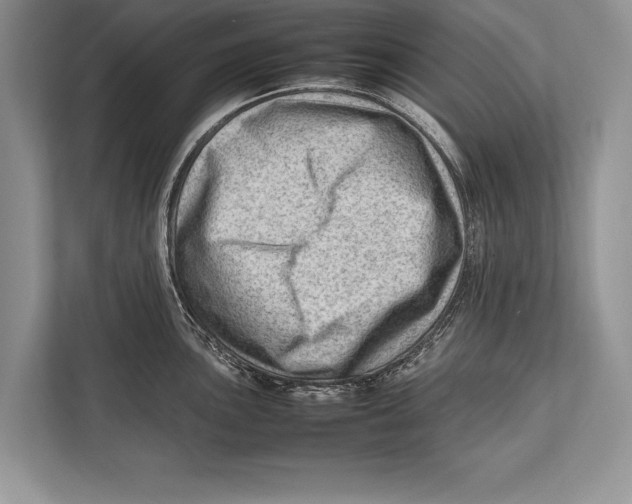 X0000112811051200909181546